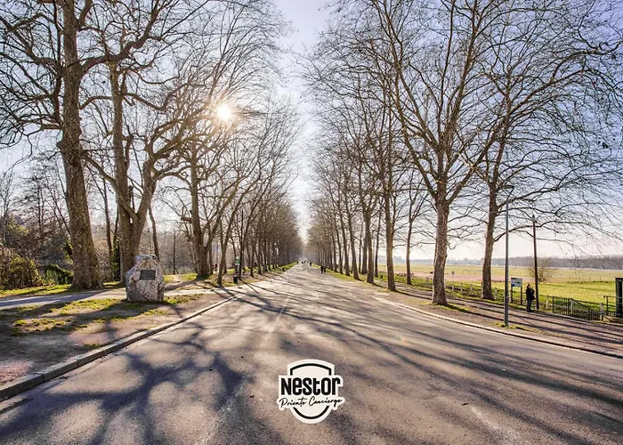 La Casa Gallia — Moderne En Hypercentre *